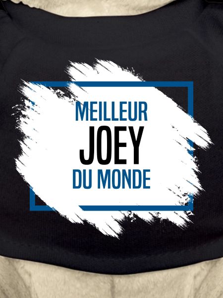 Joey
