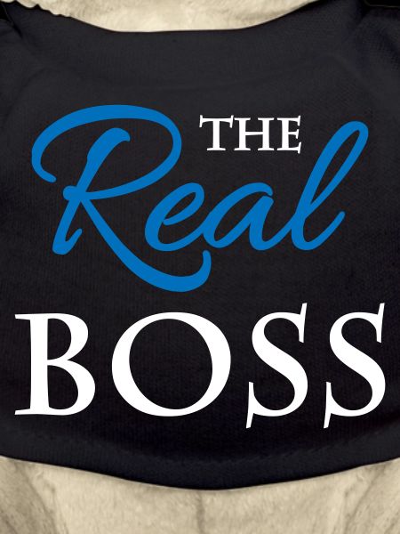The real boss