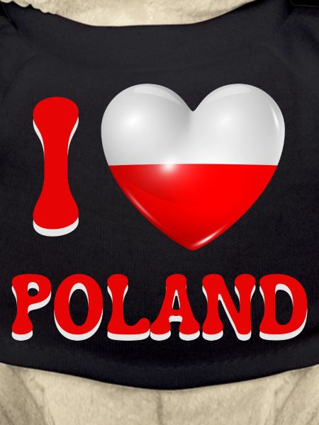 I love Poland