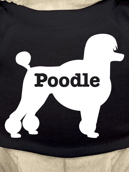 Poodle