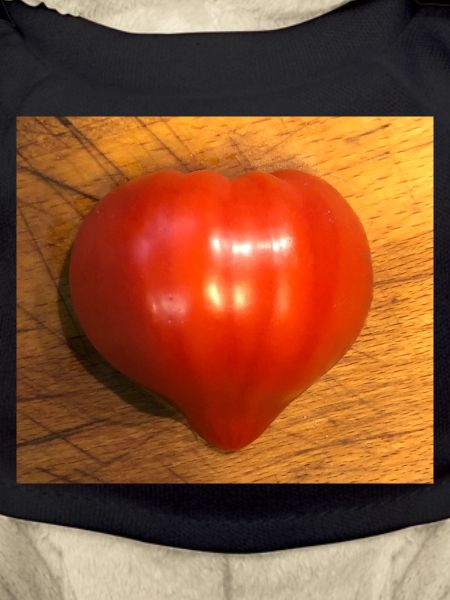 tomate