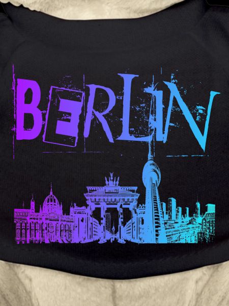 Berlin Skyline Panorama