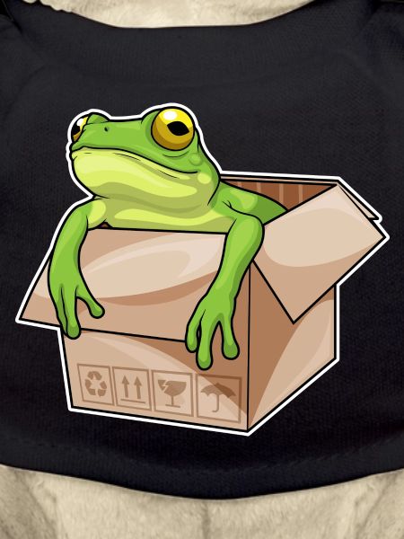 Frosch Karton
