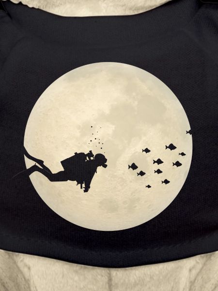 Space diver