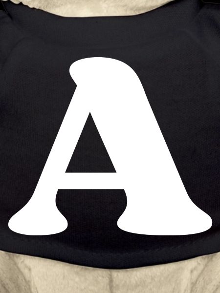 Letter a