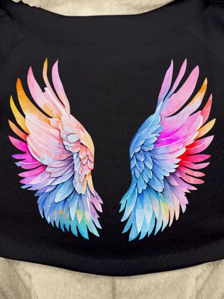 Ailes d’ange arc-en-ciel