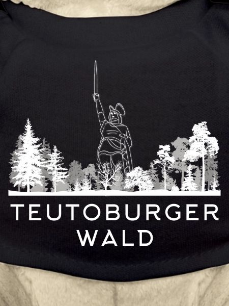 Teutoburger Wald