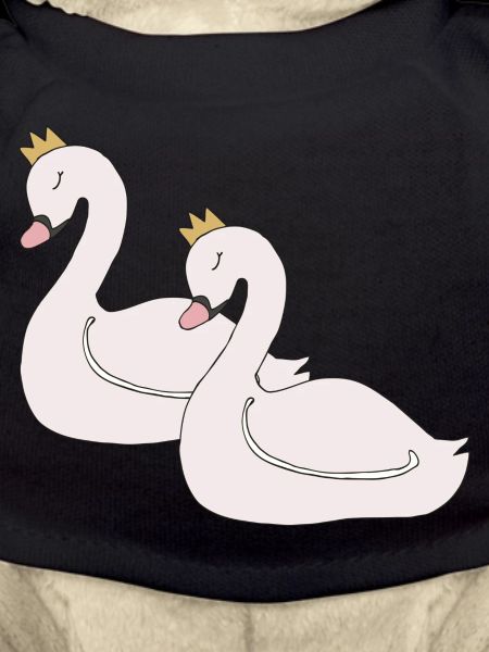Swan 2x