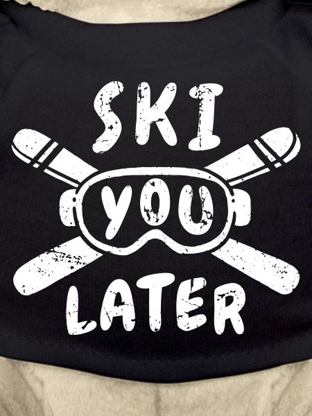 Ski You Later