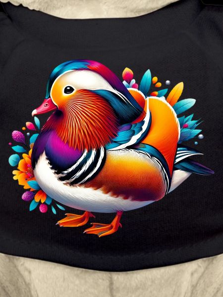 Mandarin duck