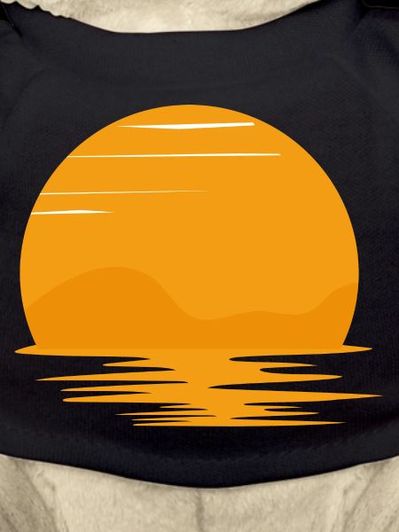 Retro Sunset Rays Wavy