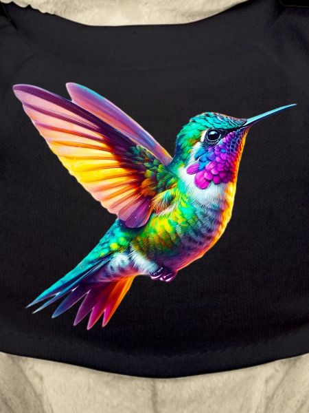 Kolibri