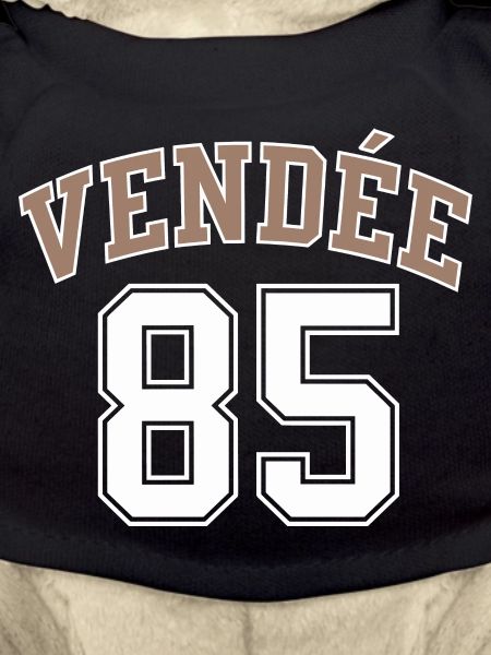 Vendée 85