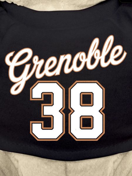 Grenoble 38