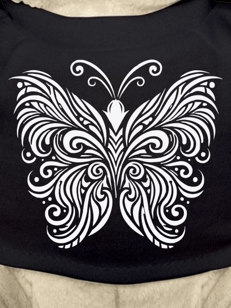 Papillon Papillon