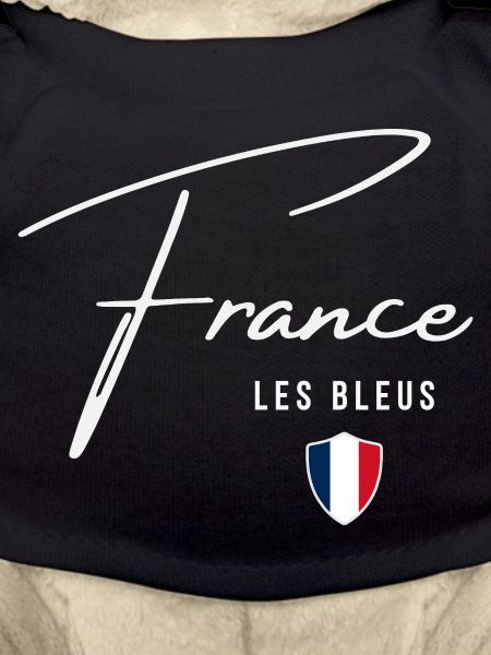 Frankreich, minimalistisches, elegantes Design