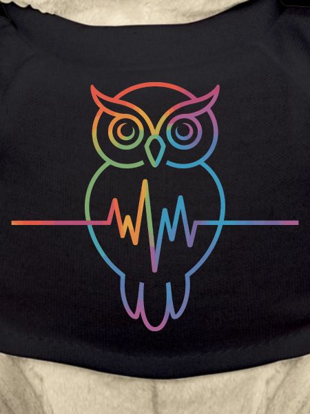 Rainbow Owl Heartbeat Design
