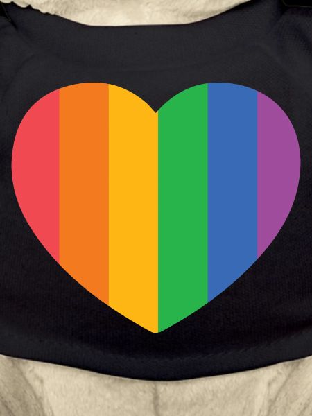 Heart with Pride Stripes