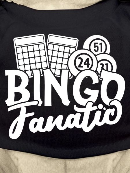 Bingo Player Fanatic Bingo