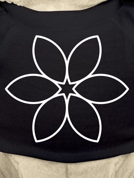 Plain White Flower