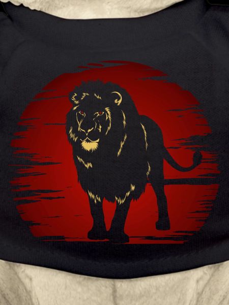 Lion dans l’obscurité