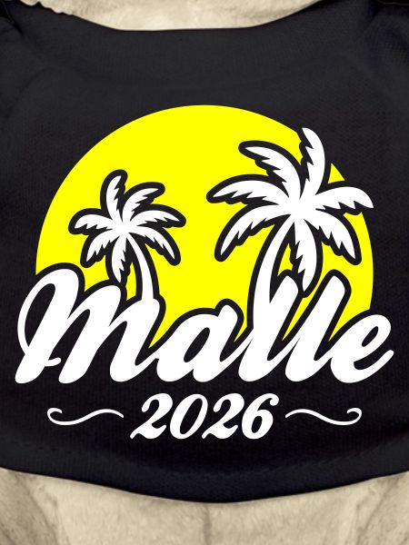 Malle 2026 Palm Trees Beach