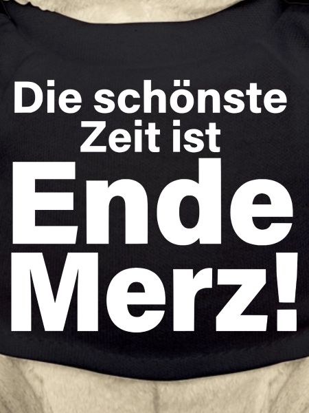 Ende Merz Typo Statement