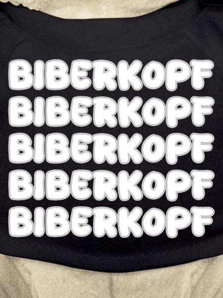 Gift for Beaverhead