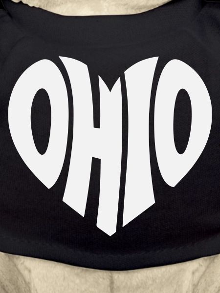 Ohio Herz Logo