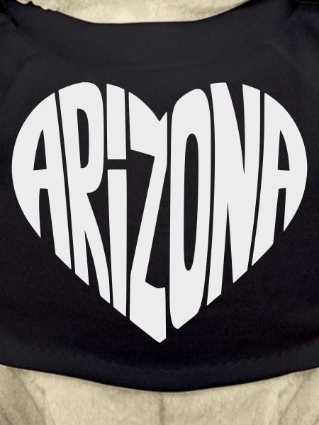 Arizona Heart Typo
