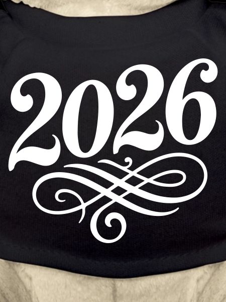 2026 year