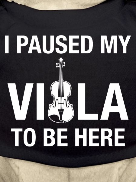 Viola Paused Viola Practice Musicians