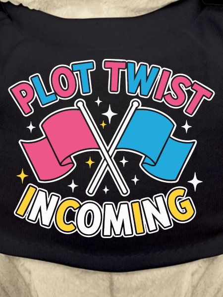 Geschlechter-Enthüllung Plot-Twist – Team Pink Team