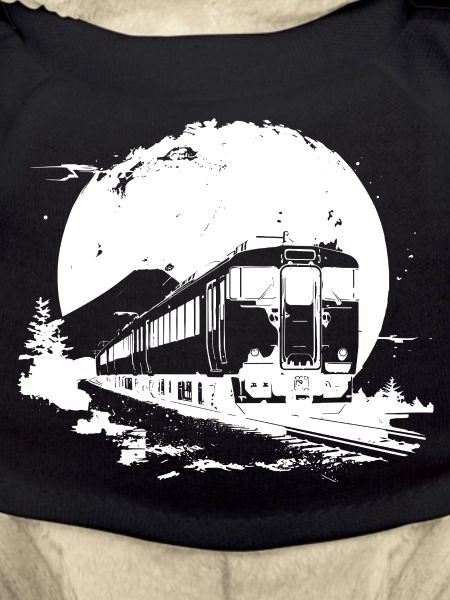 Train Lover Drawing