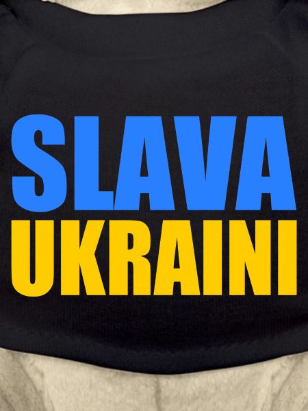Slava ukraini