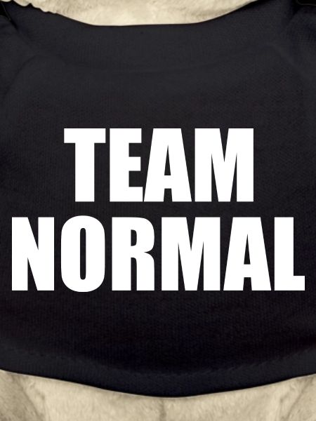 Team normal