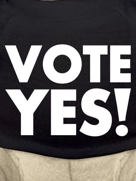 Vote yes