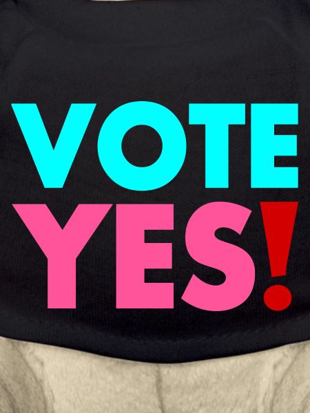 Vote yes