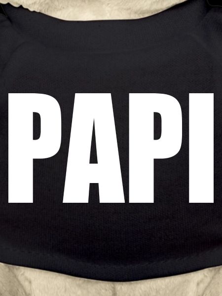 Papi