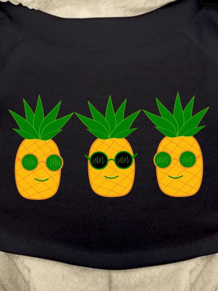 Pineapple Summer Festival