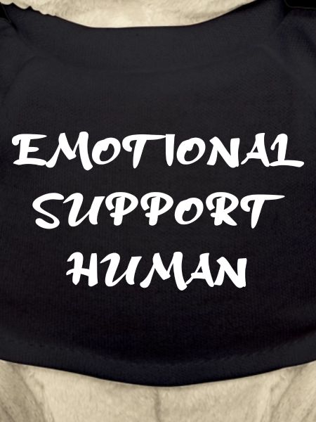 Emotional Support Human