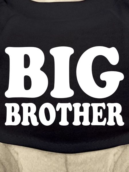 Big brother