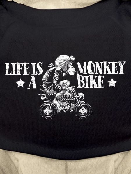 Monkey bike