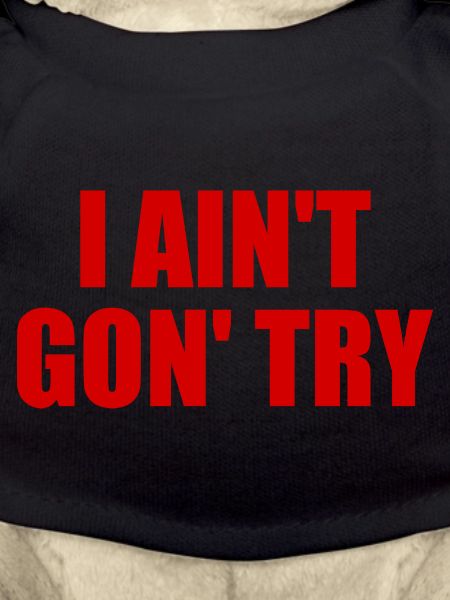 i ain't gon' try