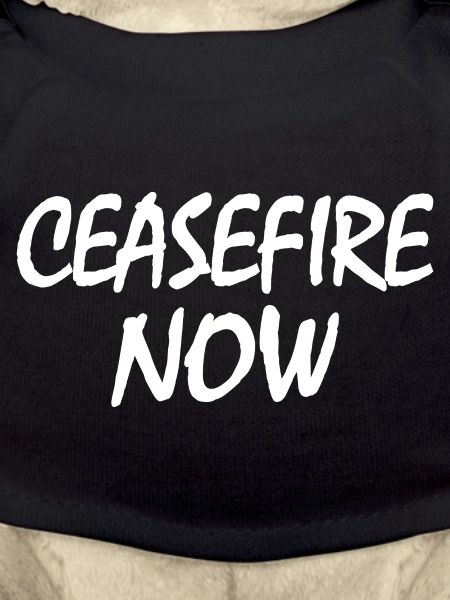 Ceasefire now