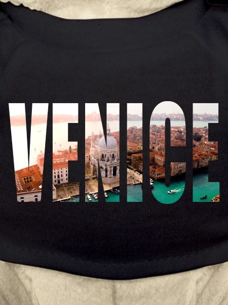 venice venice