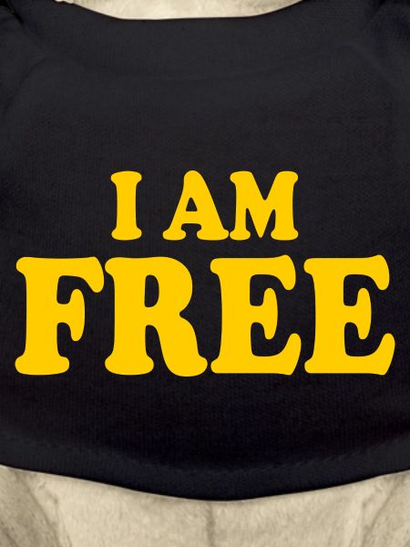 I am free