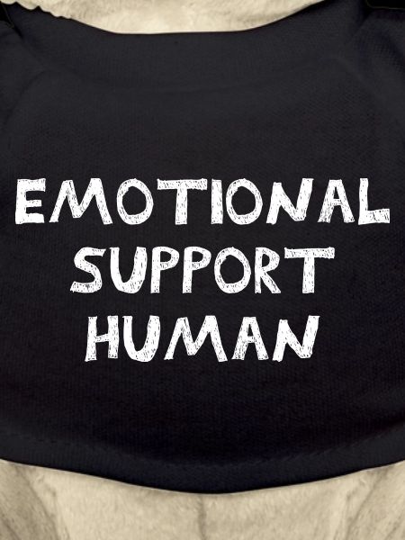 Emotional Support Human