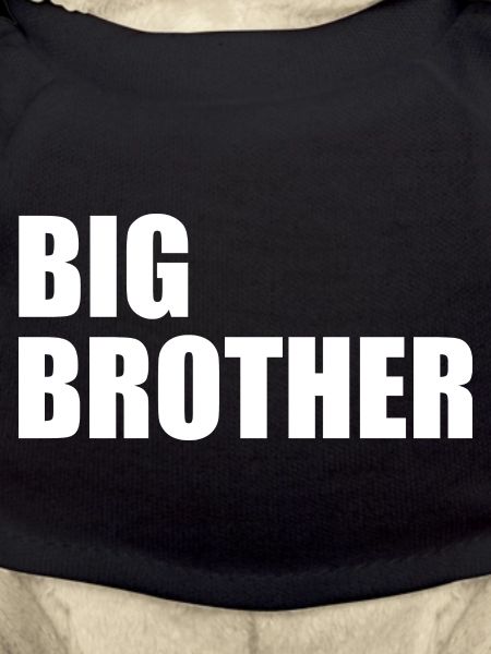 Big brother