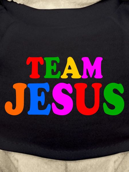 Team jesus lgbt